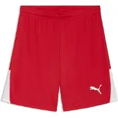 Puma Pantalón deportivo 'TeamLiga26' rojo / blanco