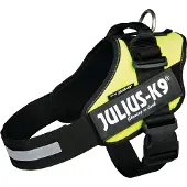 Julius-K9 IDC Power Arnés - L - Neón