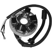 Sgr Estator 6 Poles Vespa Pk