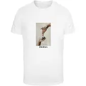 Mister tee Camiseta 'God Given Pizza' greige / rojo / blanco