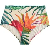 Next Braga de bikini crema / esmeralda / rojo vino / rojo anaranjado