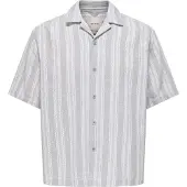 Only & Sons Camisa 'ONSWalker' gris / blanco