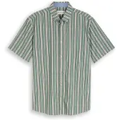 Tom Tailor Camisa verde / blanco