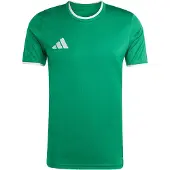 Adidas adidasCamiseta Entrada26 L Team Green / White Hombre