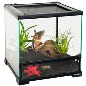 HabiStat Terrario de Vidrio Transparente