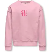 ONLY GIRLS Sudadera 'KOGDITTE' rosa / rosa