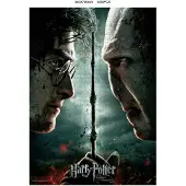SD Toys Harry Potter Voldemort Vs Harry Rompecabezas 1000 Piezas