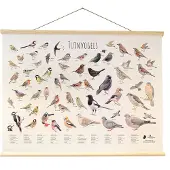Vogelbescherming - Protección de aves en los Países Bajos