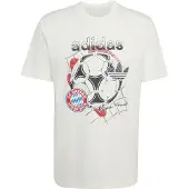 Adidas Camiseta funcional 'FC Bayern Muenchen Seasonal Graphic' azul / rojo / negro / blanco