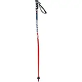 Swix Bastones Wc Pro Sg Junior