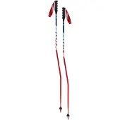 Swix Bastones World Cup Pro Sg Carbon