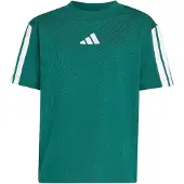 Adidas adidasCamiseta Essentials (Niños) 116 Collegiate Green / White Niño