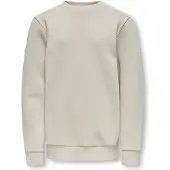 Only & Sons Junior Sudadera 'OSJCeres' greige