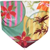 Next Top amarillo / verde pastel / rosa / rojo