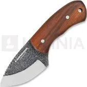 Condor Cuchillo de cuello Beetle