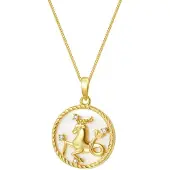 Hey Happiness Cadena 'Capricorn' oro