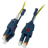 Synergy 21 S215531