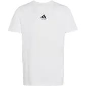 Adidas adidasCAMISETA ESTAMPADA FOOTBALL CATEGORY 164 White Niño