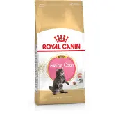 Royal Canin Maine Coon Kitten - 4 kg