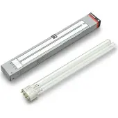 Philips Productos de Warentuin