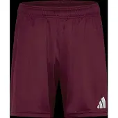 Adidas adidasPantalón corto Entrada26 XL Team Maroon 2 / White Hombre