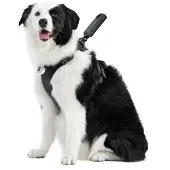 Insta360 Montaje De Cámara Pet Harness Mount