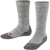 Falke Calcetines gris / gris oscuro