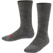 Falke Calcetines gris oscuro / rojo