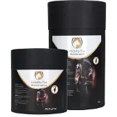Excellent Mobility Plus - 2 kg (80 sobres)