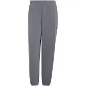 Adidas Pantalón deportivo 'Soft Lux' gris