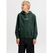 Jack & Jones Junior Sudadera 'JJESoho' pino / blanco