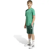 Adidas Conjunto Train Essentials 3 Stripes Tee Kids