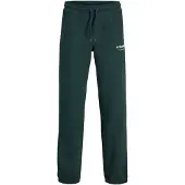 Jack & jones Junior Pantalón 'JPSTKane' pino