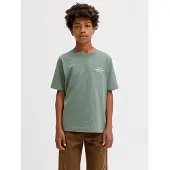 Jack & Jones Junior Camiseta 'JORNORREBRO' menta / blanco