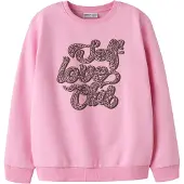 Name it Sudadera 'NKFNAANLO' antracita / malva / rosa / pitaya