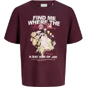 Jack & Jones Kids Camiseta De Manga Corta Sandra Jjxx