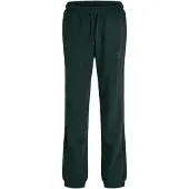 Jack & jones Junior Pantalón 'JJIGORDON' pino