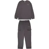 Puma Conjunto gris