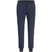 Jack & Jones Plus Pantalón 'JPSTGORDON' marino / blanco