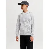 Jack & jones Sudadera Con Capucha Corp Logo