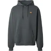Iriedaily Sudadera 'Serial Chiller' pino