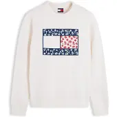 Tommy Hilfiger Sudadera 'NOVELTY' navy / rojo / blanco