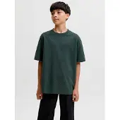 Jack & Jones Junior Camiseta 'JJEBARRON' verde oscuro