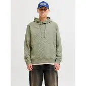 Jack & Jones Sudadera 'JORNorrebro' verde pastel / blanco