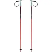 Völkl Bastones Phantastick 16 Mm