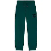 Tommy Hilfiger Pantalón 'Brand Love' pino