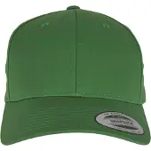 Flexfit Gorra gris / verde