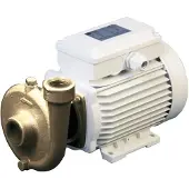 Osculati Bomba Centrífuga 2800rpm 40l/min 1.2a 230v 150w