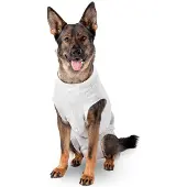 Flamingo Chaqueta Para Perro Body Protector