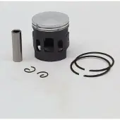 VERTEX Pistón Minarrv Polini D46.95 B